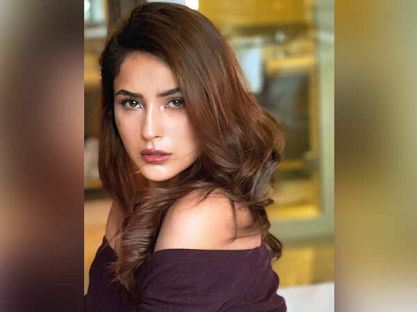 TV_DESIRABLE_SHEHNAAZ GILL