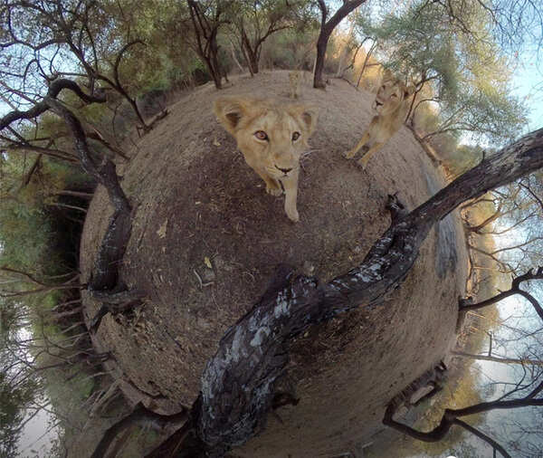 1 (4)