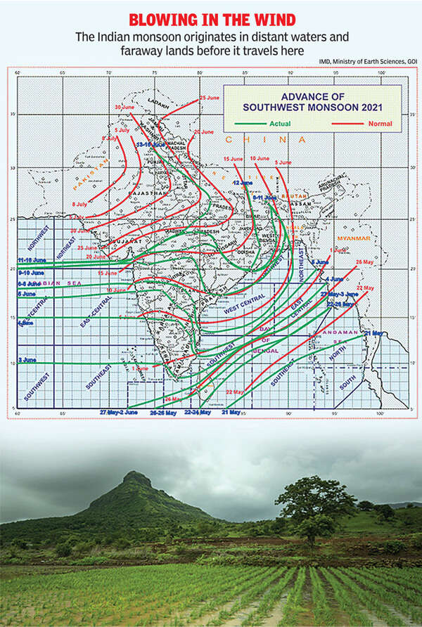 Page-1 Graphic-1 (1)