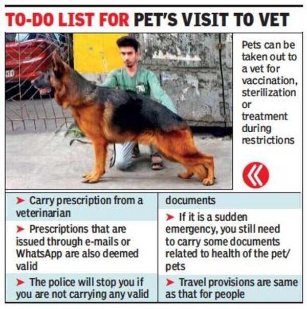 pet visit (1)