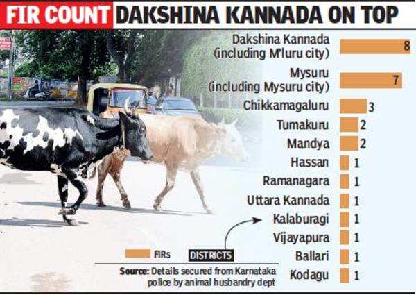 Karnataka: 4 months after implementation, 58 cases registered under  Anti-cow Slaughter Act | Bengaluru News - Times of India