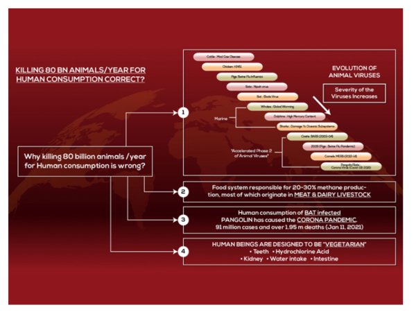 mediawire_image_0