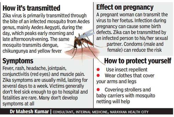 Zika Virus In Karnataka Alert In Districts To Check Zika Spread Bengaluru News Times Of India 3993