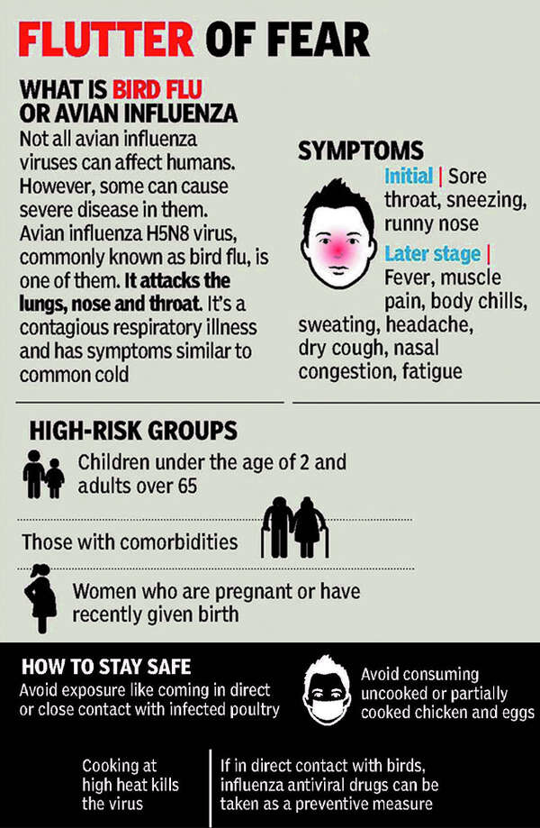 Bird Flu in Delhi: India’s first bird flu death reported at AIIMS-Delhi ...