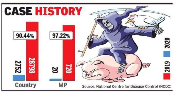 Cases of swine flu dip by 97% in Madhya Pradesh | Indore News - Times ...