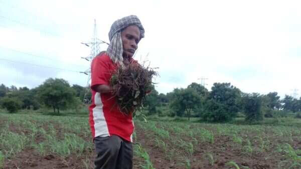 Karnataka: Dwarf athlete struggles to make ends meet | Hubballi News ...