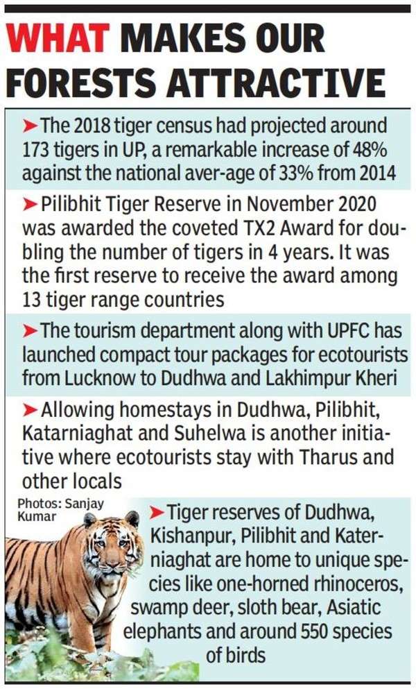 Tiger reserves in Uttar Pradesh could soon be a delight for ecotourists ...