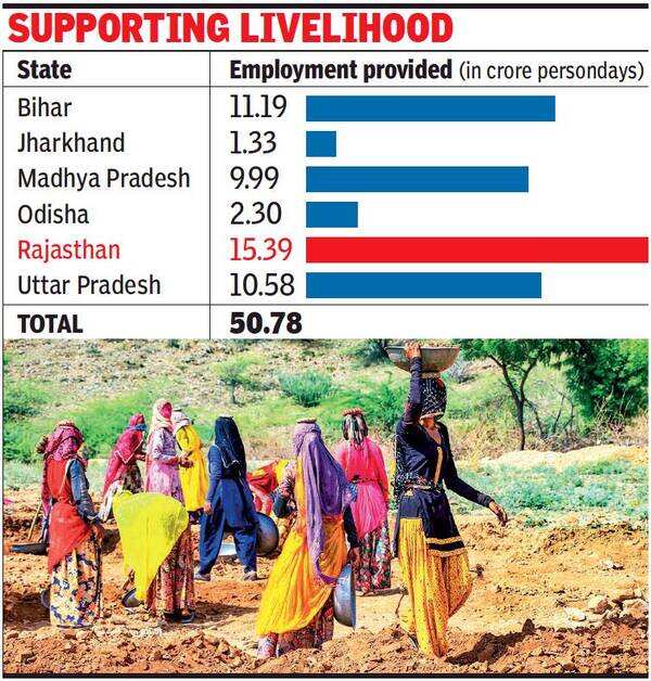 Rajasthan tops in generating jobs for migrant workers | Jaipur News ...