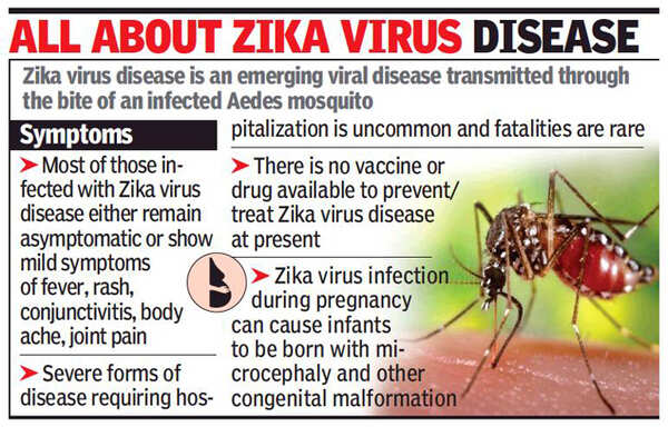 Zika Virus In Maharashtra Maharashtra Reports Its First Zika Virus Case In 50 Year Old Pune 6652