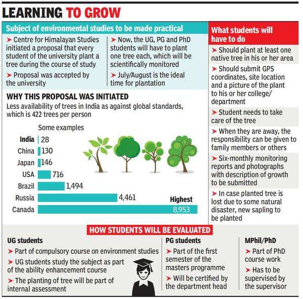 How Many Trees Are Planted Each Year? Full List By Country, Type, Year