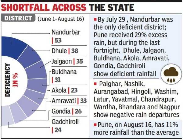 Heavy Showers In Ghats As Monsoon Set To Revive, Light Rain Forecast ...