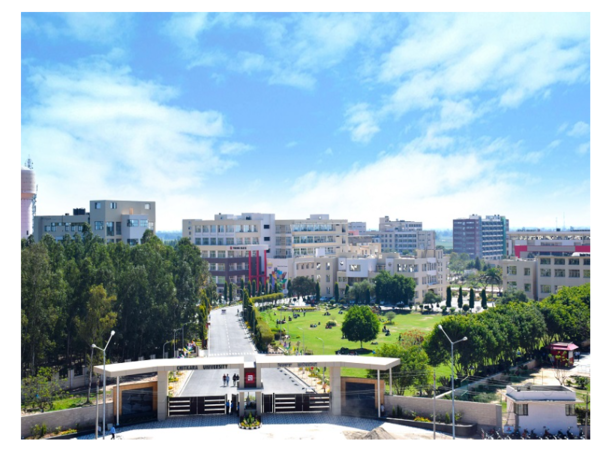 mediawire_image_0