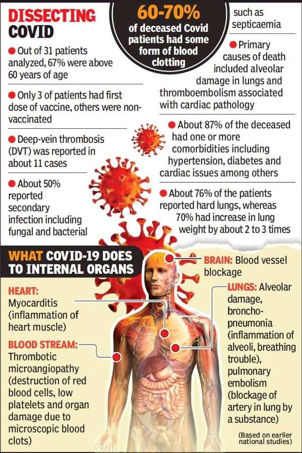 Gujarat: 30% Covid deceased had ‘hidden’ health conditions | Ahmedabad ...