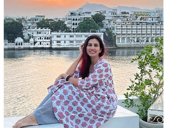 Udaipur picas (4)