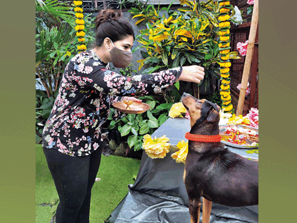 Celebrating Raksha Bandhan with rescued and abandoned dogs