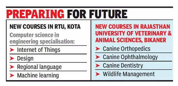 Rajasthan: New courses in Kota, Bikaner universities to prepare youths for  the job market | Jaipur News - Times of India