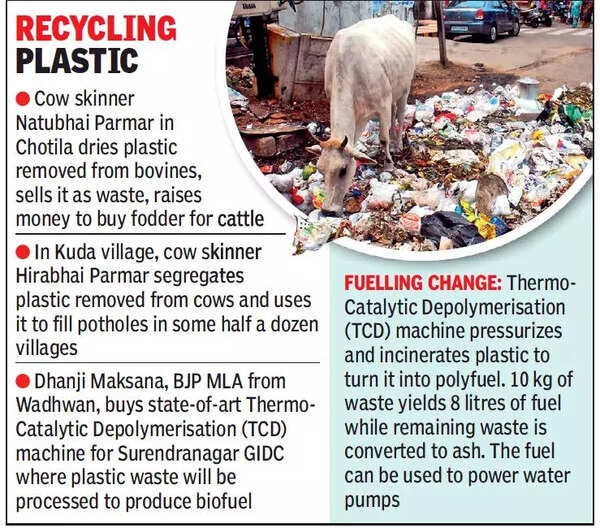 Gujarat Plastic waste from cows used to buy fodder, fuel and to patch