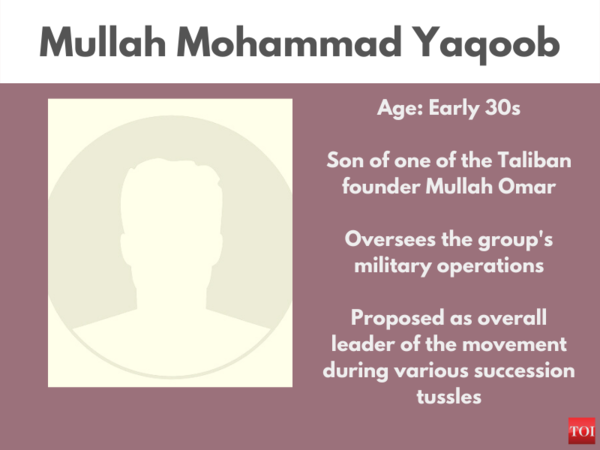 Who bears responsibility for the Taliban takeover (1)