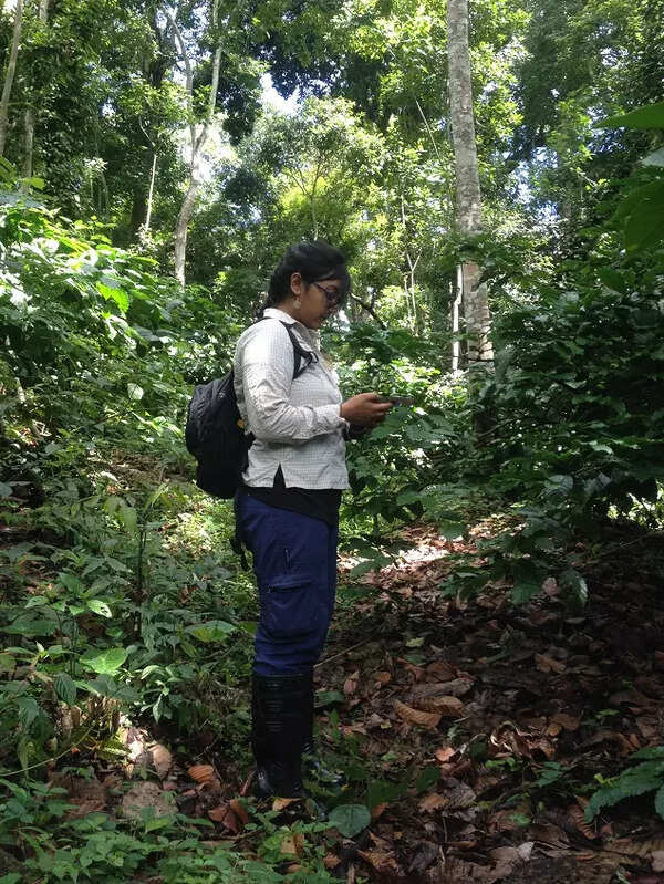 Pic 2