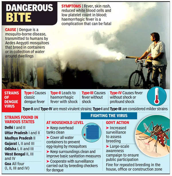 Dengue: 'more dangerous' dengue strains found in delhi | delhi news