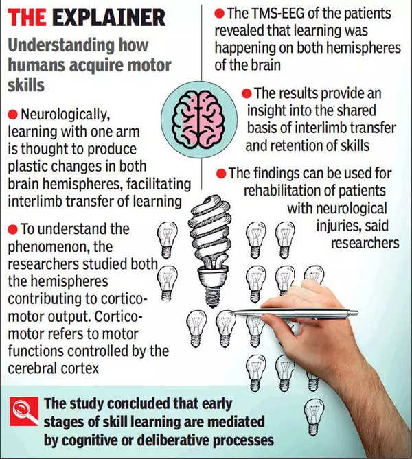 Are You Left-Handed? Science Still Yearns to Know Why