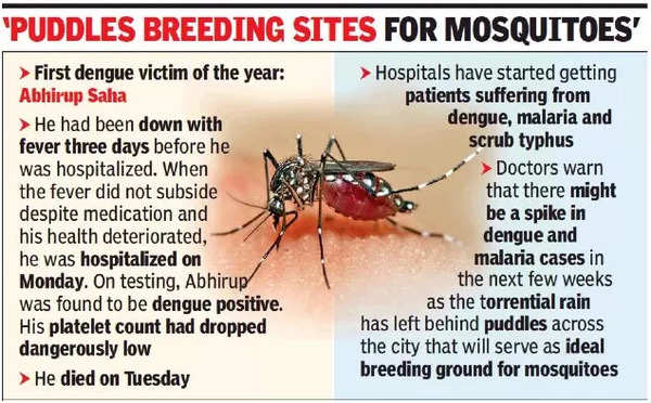 19-year-old boy Kolkata’s first dengue victim this year | Kolkata News ...