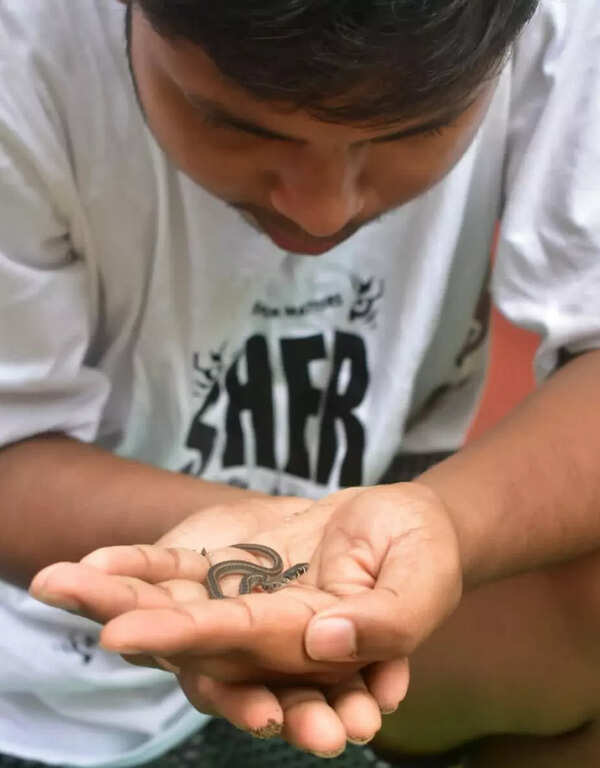Kalyanmoy Das (1)