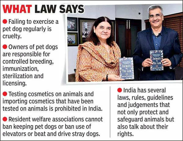 Unlawful: Not exercising pet or feeding strays near homes | Vadodara News -  Times of India