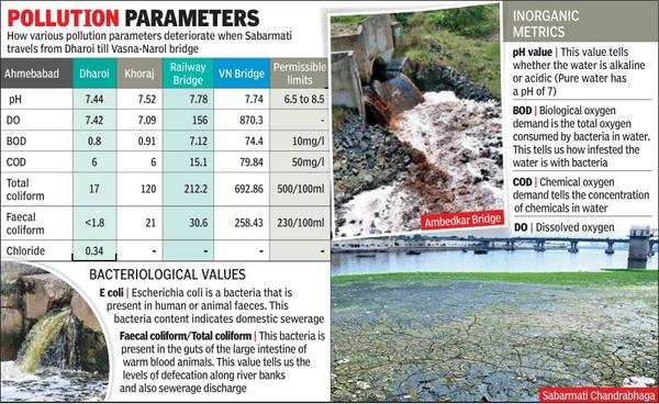 Gujarat: Just 65km from sea, sludge kills Sabarmati | Ahmedabad News -  Times of India