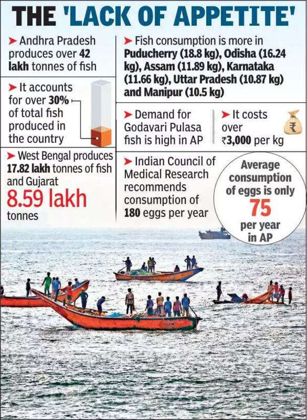 Andhra Pradesh tops in fishery, lags in consumption | Vijayawada News ...