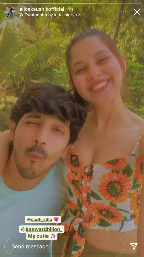 Pandya Store actress Alice Kaushik celebrates birthday with rumoured