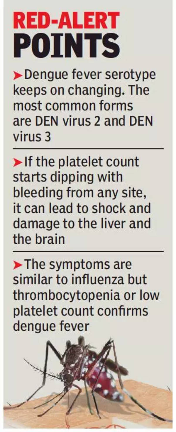 Mohali: Mohali dengue deaths highest in Punjab | Chandigarh News ...