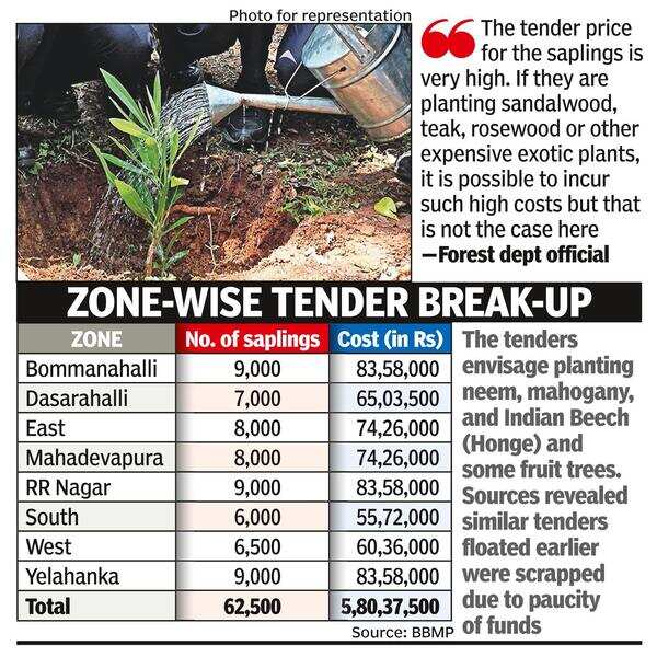 Tenders floated for 62k saplings, BBMP ready to pay 930 for each