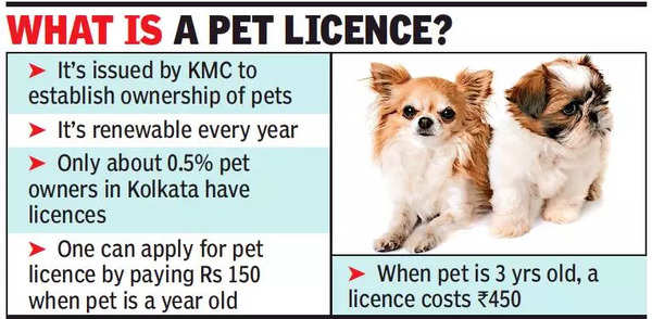 Dogfights' end in custody battles for Kolkata's unlicensed pet owners |  Kolkata News - Times of India