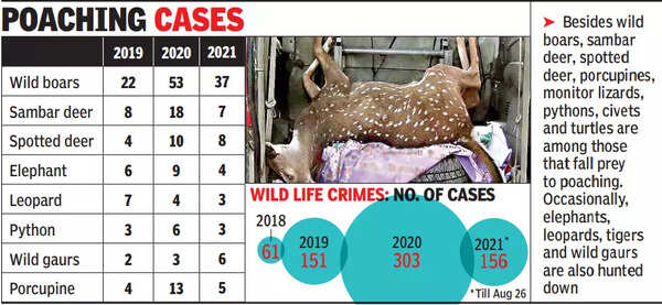Wildlife crimes rise by 100% in a year in Kerala | Kochi News - Times of  India