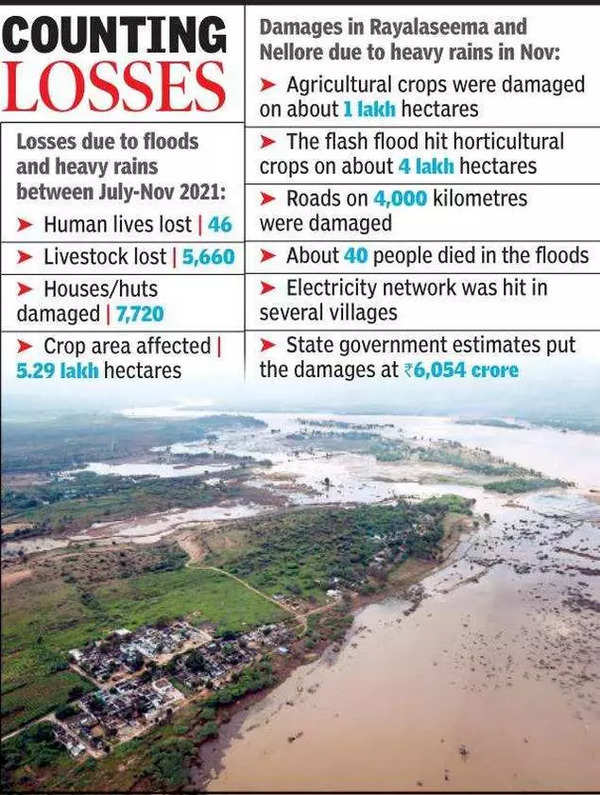 Andhra Pradesh: Andhra Pradesh's Rayalaseema Bears Brunt Of Rains ...