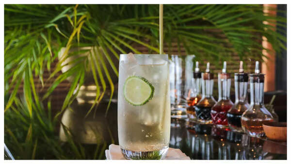 Christmas Ginger Ale Recipe