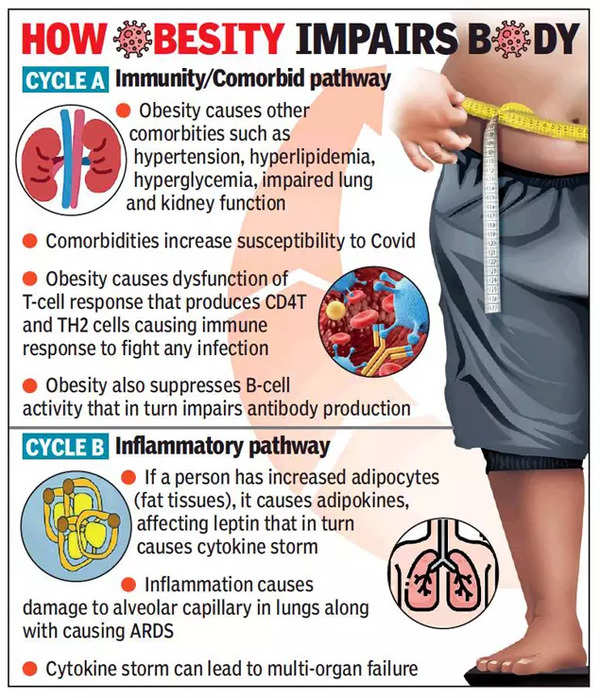 Covid: Gujarat: Lose flab to help body fight Covid | Ahmedabad News - Times  of India