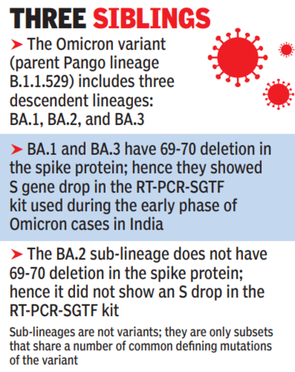 Omicron sibling BA.1 rapidly replacing Delta, says Insacog | India News - Times of India