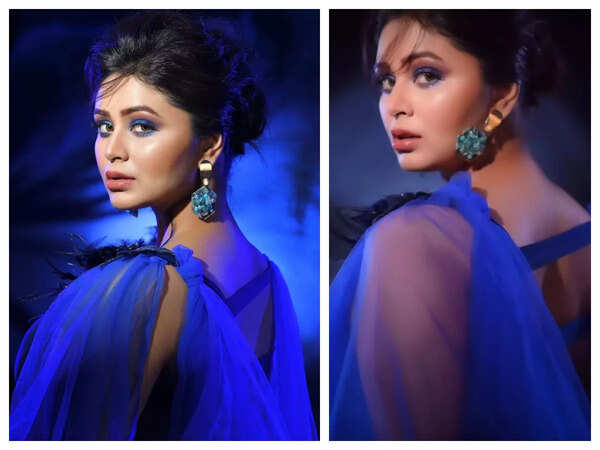 Ritabhari Chakraborty