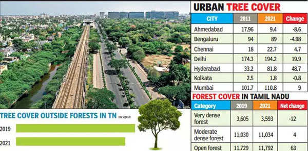 survey-shows-how-tamil-nadu-is-missing-wood-for-trees-chennai-news