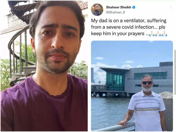 shaheer sheikh