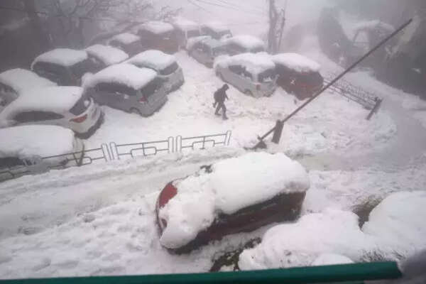 Vehicles covered in snow at a parking area in Shimla