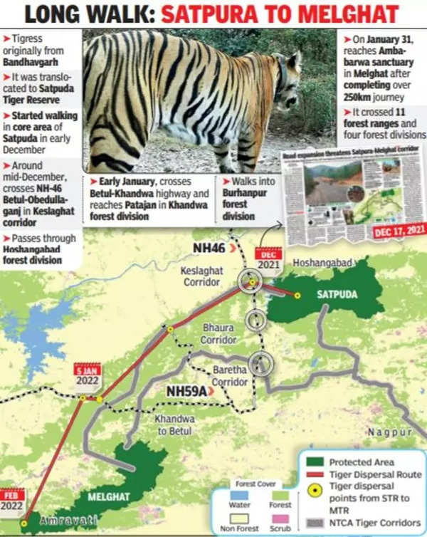 Melghat Tiger Reserve | Amravati