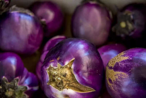 Bianca eggplant