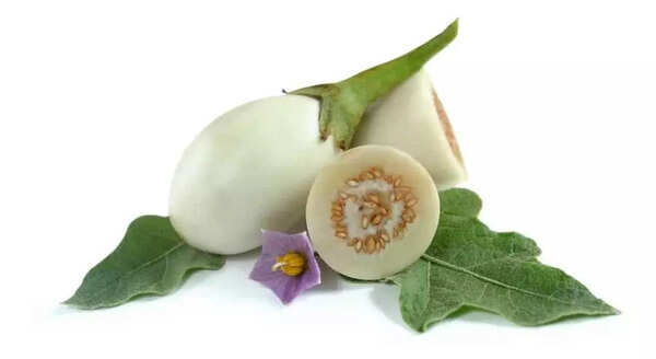 Japanese White Egg Eggplant