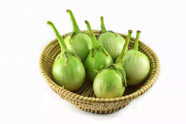 Little Green Eggplant
