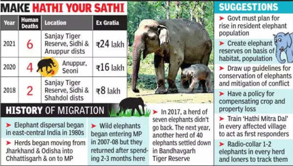 Elephants Now More Than Guests In Tiger State Mp, Panel Calls For Jumbo