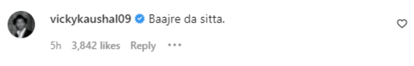 vik