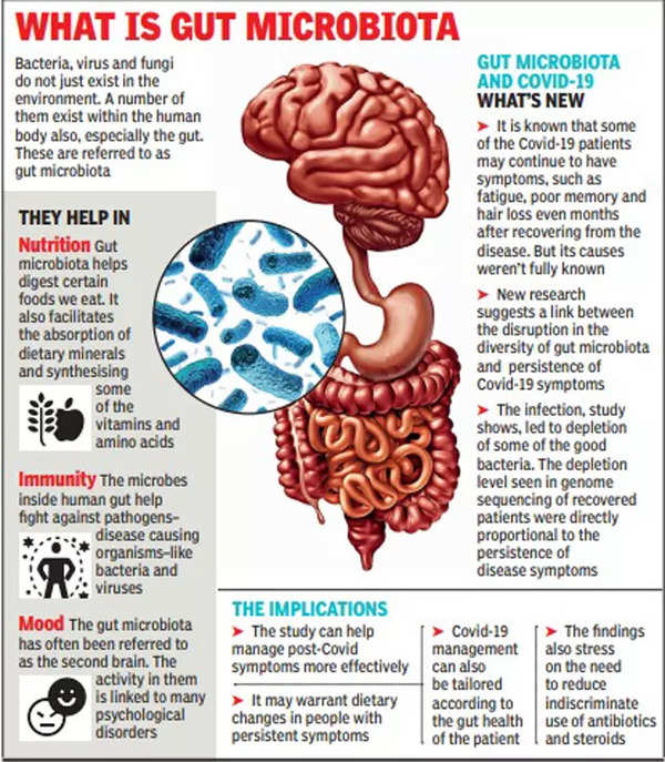 That ‘gut Feeling’ Could Be Covid-induced Ibs, Ge | Ahmedabad News ...